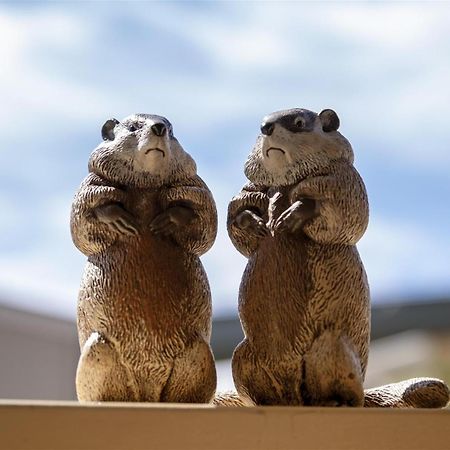 Woodchuck Flat Βίλα Φορτ Μπραγκ Εξωτερικό φωτογραφία